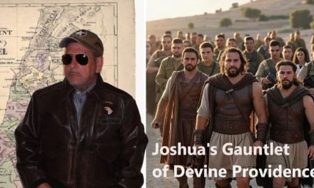 Fashion Charisma starts with Basic Fitness